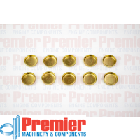 Premier Welch plug kit Thumbnail