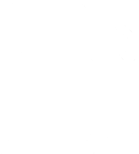 Fuel