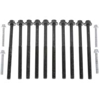 Permaseal Cylinder Head Bolt Set Thumbnail