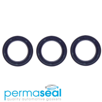 Permaseal Timing Seal Kit Thumbnail