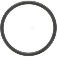 Permaseal Thermostat Housing Gasket Thumbnail