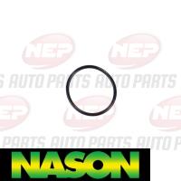 Nason Water Pump Thumbnail