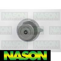 Nason Water Pump Thumbnail