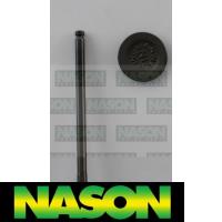 Nason Valve Inlet Thumbnail