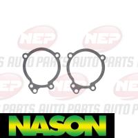 Nason Water Pump Thumbnail