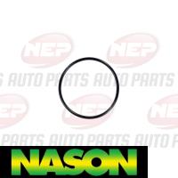 Nason Water Pump Thumbnail