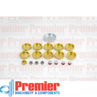 Premier Welch plug kit Thumbnail