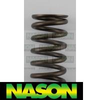 Nason Valve Spring Thumbnail