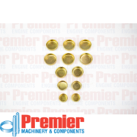 Premier Welch plug kit Thumbnail