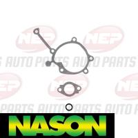 Nason Water Pump Thumbnail