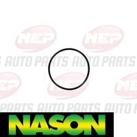 Nason Water Pump Thumbnail