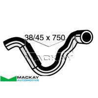 Mackay Radiator Lower Hose Thumbnail