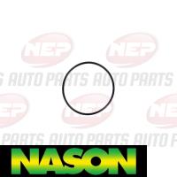 Nason Water Pump Thumbnail