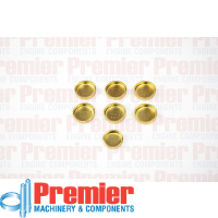 Premier Welch plug kit Thumbnail