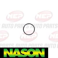 Nason Water Pump Thumbnail