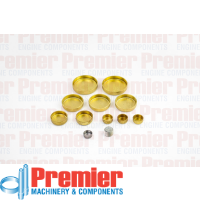 Premier Welch plug kit Thumbnail