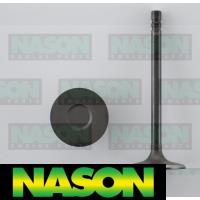 Nason Valve Inlet Thumbnail