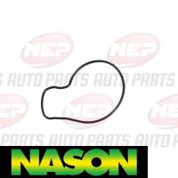 Nason Water pump Thumbnail