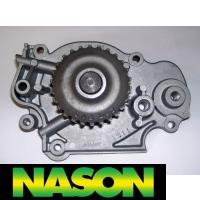 Nason Water Pump Thumbnail