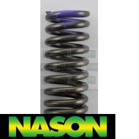 Nason Valve Spring Thumbnail