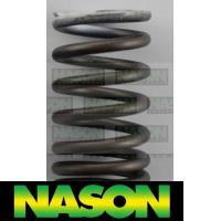 Nason Valve Spring Thumbnail