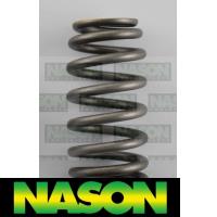Nason Valve Spring Thumbnail