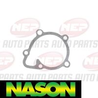 Nason Water Pump Thumbnail