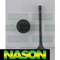 Nason Valve Inlet Thumbnail