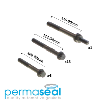 Permaseal Cylinder Head Bolt Set Thumbnail