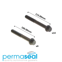 Permaseal Cylinder Head Bolt Set Thumbnail
