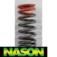 Nason Valve Spring Thumbnail