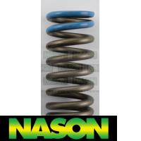 Nason Valve Spring Thumbnail