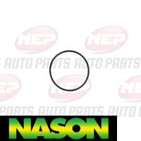 Nason Water Pump Thumbnail