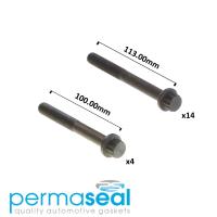 Permaseal Cylinder Head Bolt Set Thumbnail
