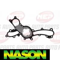 Nason Water Pump Thumbnail