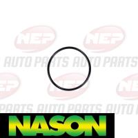 Nason Water Pump Thumbnail