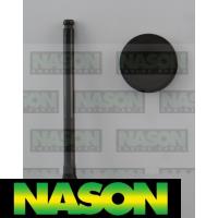 Nason Valve Inlet Thumbnail