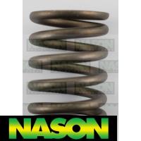 Nason Valve Spring Thumbnail