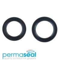 Permaseal Timing Seal Kit Thumbnail