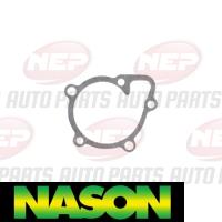 Nason Water Pump Thumbnail