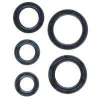 Endurotec Timing Seal Kit Thumbnail