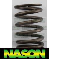 Nason Valve Spring Thumbnail
