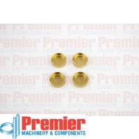 Premier Welch plug kit Thumbnail