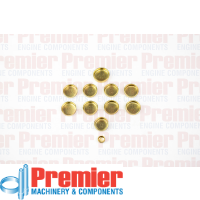 Premier Welch plug kit Thumbnail