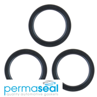 Permaseal Timing Seal Kit Thumbnail