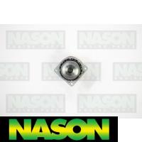 Nason Water Pump Thumbnail