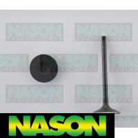 Nason Valve Inlet Thumbnail
