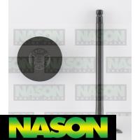 Nason Valve Inlet Thumbnail