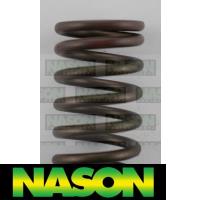 Nason Valve Spring Thumbnail