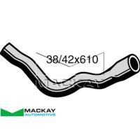 Mackay Radiator Lower Hose Thumbnail